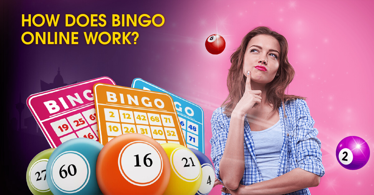 How-Does-Bingo-Online-Work