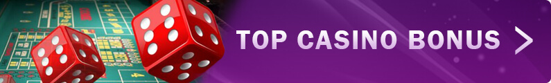 Top Casino Bonus Banner